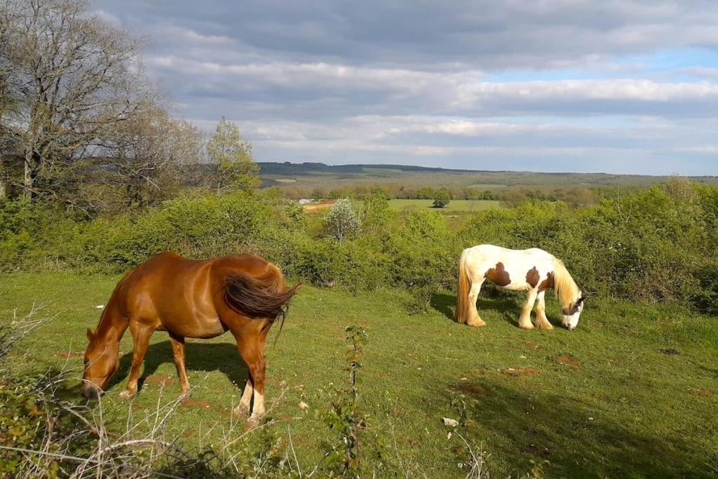 Maison De Bois En Pleine Nature A 20 Min De Beaune Montceau-et-Echarnant Extérieur photo