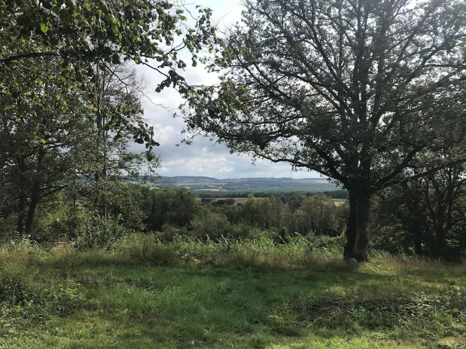 Maison De Bois En Pleine Nature A 20 Min De Beaune Montceau-et-Echarnant Extérieur photo
